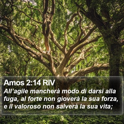Amos 2:14 RIV Bible Verse Image