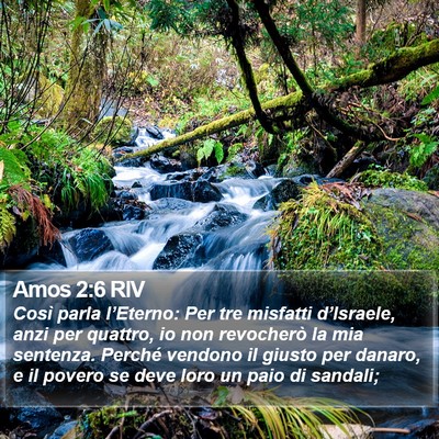 Amos 2:6 RIV Bible Verse Image