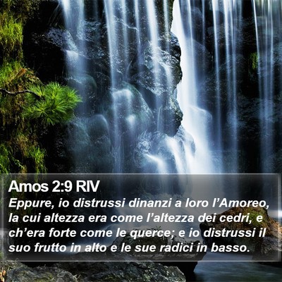 Amos 2:9 RIV Bible Verse Image