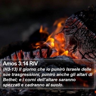Amos 3:14 RIV Bible Verse Image