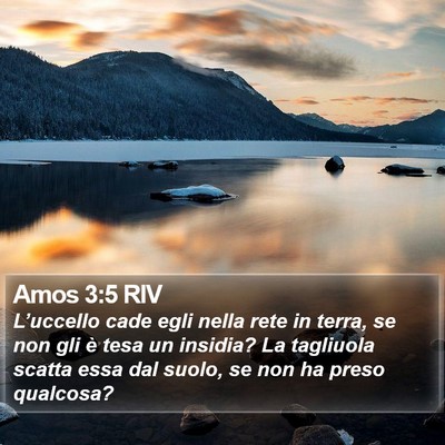 Amos 3:5 RIV Bible Verse Image