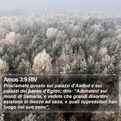 Amos 3:9 RIV Bible Verse Image