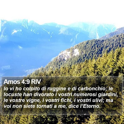 Amos 4:9 RIV Bible Verse Image