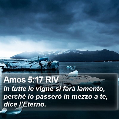 Amos 5:17 RIV Bible Verse Image