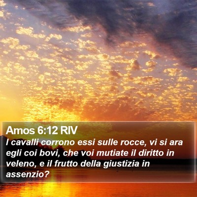 Amos 6:12 RIV Bible Verse Image