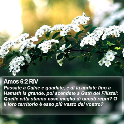 Amos 6:2 RIV Bible Verse Image