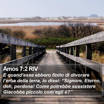 Amos 7:2 RIV Bible Verse Image