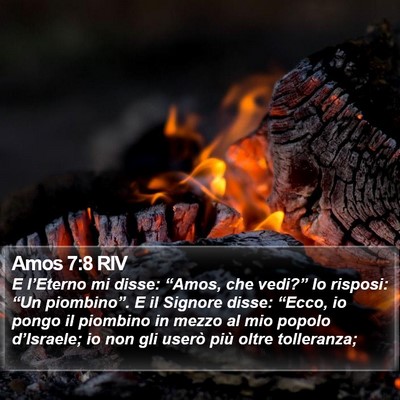 Amos 7:8 RIV Bible Verse Image