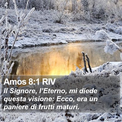 Amos 8:1 RIV Bible Verse Image