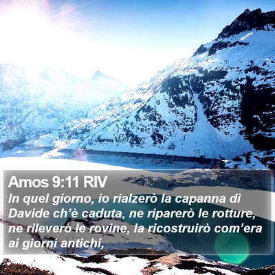 Amos 9:11 RIV Bible Verse Image