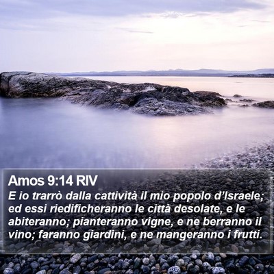 Amos 9:14 RIV Bible Verse Image
