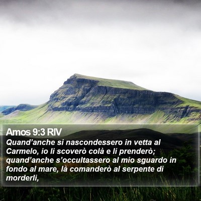 Amos 9:3 RIV Bible Verse Image