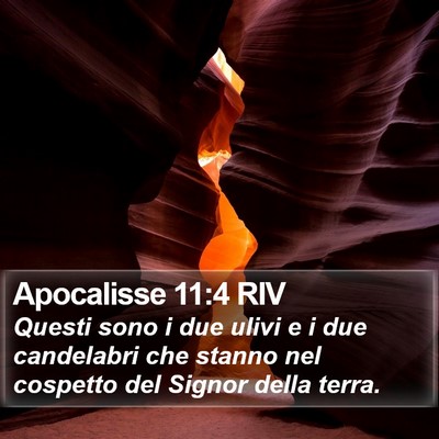 Apocalisse 11:4 RIV Bible Verse Image