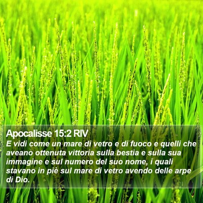 Apocalisse 15:2 RIV Bible Verse Image