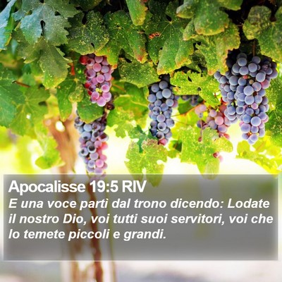 Apocalisse 19:5 RIV Bible Verse Image