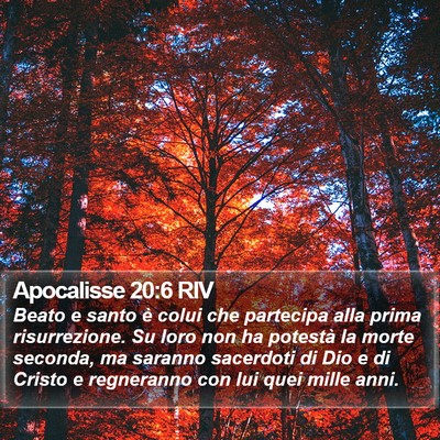 Apocalisse 20:6 RIV Bible Verse Image