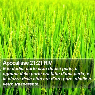 Apocalisse 21:21 RIV Bible Verse Image