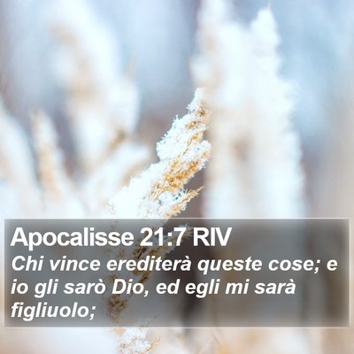 Apocalisse 21:7 RIV Bible Verse Image
