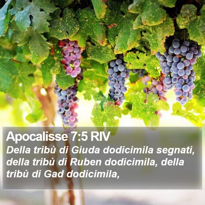 Apocalisse 7:5 RIV Bible Verse Image