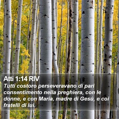 Atti 1:14 RIV Bible Verse Image