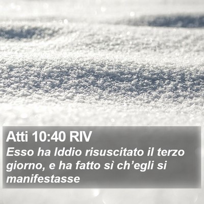 Atti 10:40 RIV Bible Verse Image