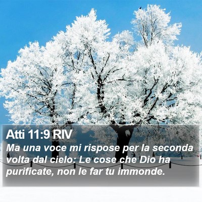 Atti 11:9 RIV Bible Verse Image