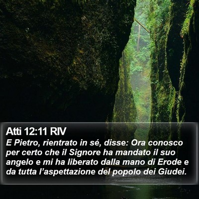 Atti 12:11 RIV Bible Verse Image