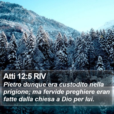 Atti 12:5 RIV Bible Verse Image
