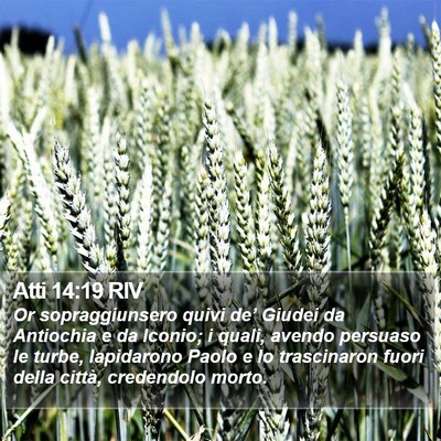 Atti 14:19 RIV Bible Verse Image