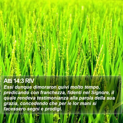 Atti 14:3 RIV Bible Verse Image