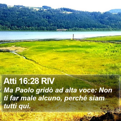 Atti 16:28 RIV Bible Verse Image