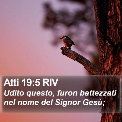 Atti 19:5 RIV Bible Verse Image