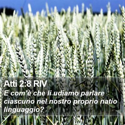 Atti 2:8 RIV Bible Verse Image
