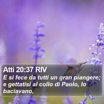 Atti 20:37 RIV Bible Verse Image