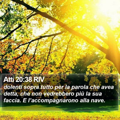 Atti 20:38 RIV Bible Verse Image