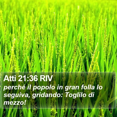 Atti 21:36 RIV Bible Verse Image