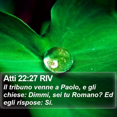 Atti 22:27 RIV Bible Verse Image