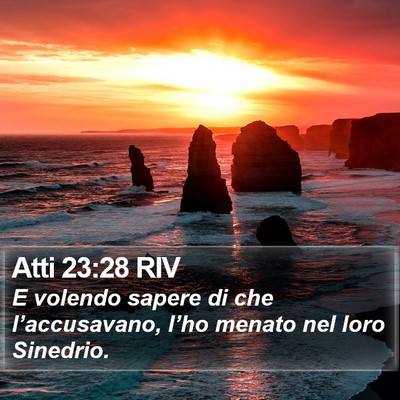 Atti 23:28 RIV Bible Verse Image