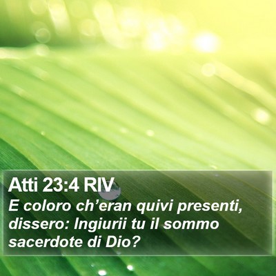 Atti 23:4 RIV Bible Verse Image