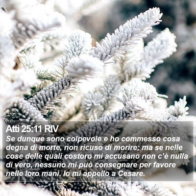 Atti 25:11 RIV Bible Verse Image