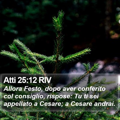 Atti 25:12 RIV Bible Verse Image