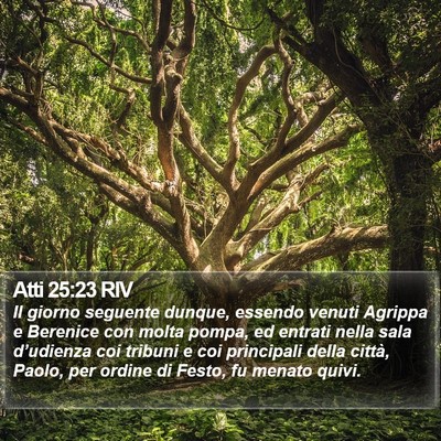Atti 25:23 RIV Bible Verse Image