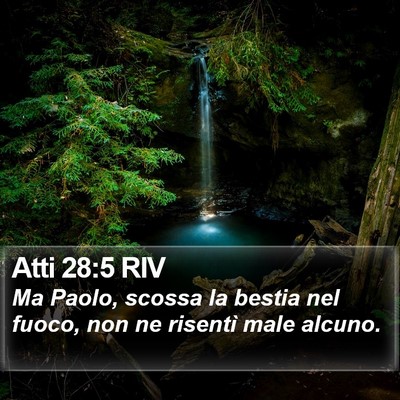 Atti 28:5 RIV Bible Verse Image