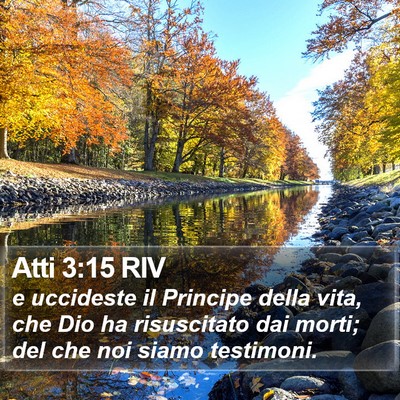 Atti 3:15 RIV Bible Verse Image