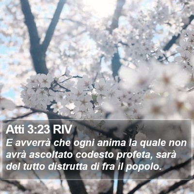 Atti 3:23 RIV Bible Verse Image