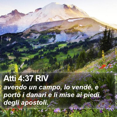 Atti 4:37 RIV Bible Verse Image