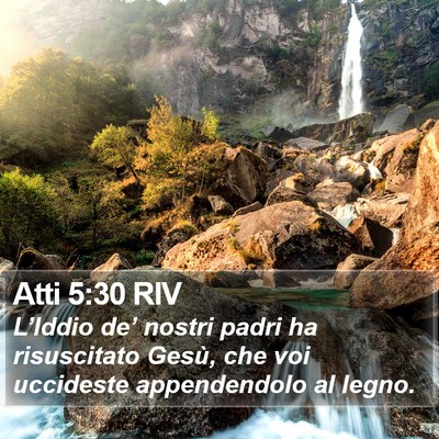 Atti 5:30 RIV Bible Verse Image
