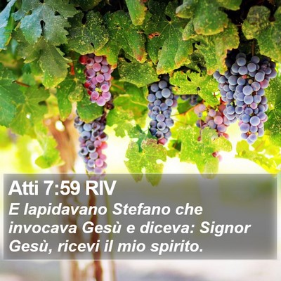 Atti 7:59 RIV Bible Verse Image
