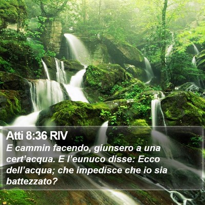 Atti 8:36 RIV Bible Verse Image