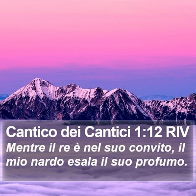 Cantico dei Cantici 1:12 RIV Bible Verse Image